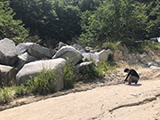 九州産地研修～天山石材様丁場上部