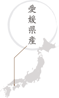 愛媛県産