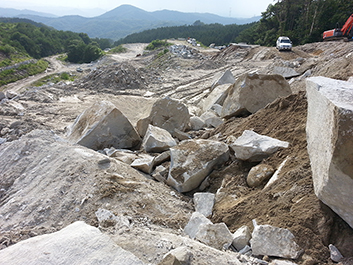 ふくしまの銘石 石処福島が生み出した高級石